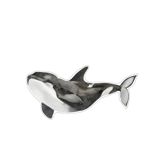 Dekorativ klistermärke med späckhuggare 90 x 45 cm PVC väggdekor havstema för barnrum badrum