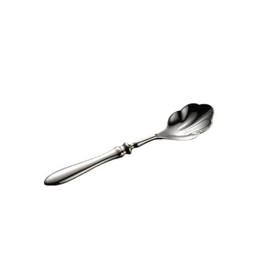 Lyxig dessertsked i rostfritt stål Elegantisk sked i snäckform Polerad designbestick stilfull sked till köket