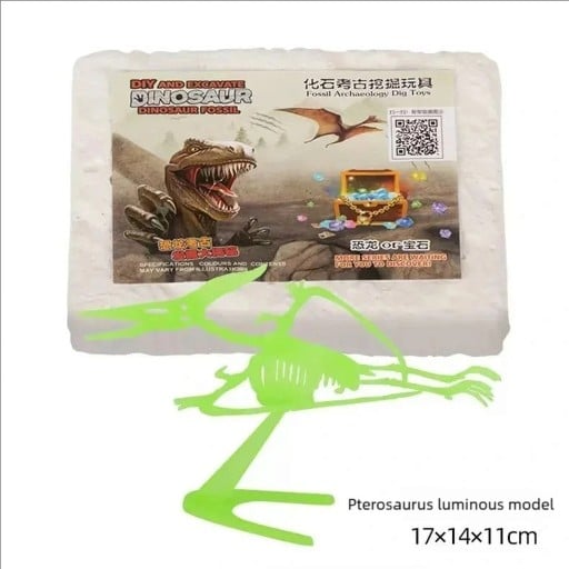 Archeologická vykopávka Svietiaca kostra Pterosaura na zostavenie Sádrový blok 17 x 14,5 x 4 cm Model 17 cm Pre deti od 6 rokov