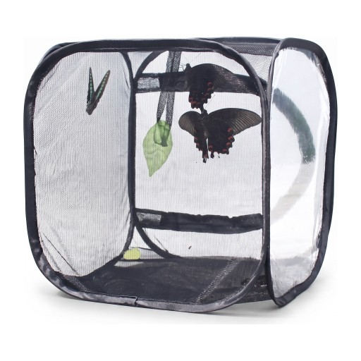 Netbur på sommerfugle og insekter 30 x 30 x 30 cm Sammenklappelig opdrætsboks med lynlås Polyester netstof Sort Til observation af larver