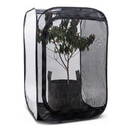 Stor netbur til sommerfugle og insekter 60 x 60 x 90 cm Sammenklappelig opdrætsboks med lynlås Polyester netstof Sort Til planter og sommerfugle