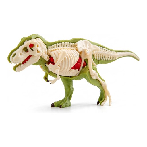 Anatomický model T-rexe k sestavení Kostra Orgány a tělo Délka 21,5 cm Výška 8,5 cm Plastová stavebnice se scénou Vzdělávací hračka