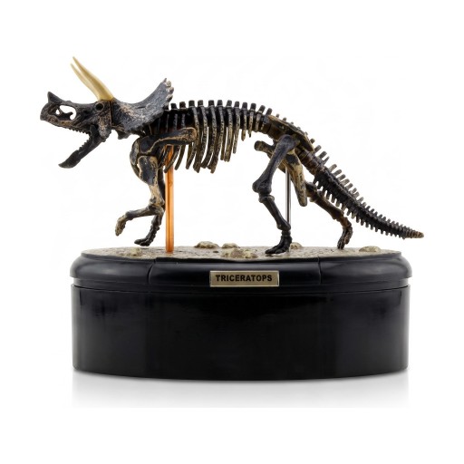 Modèle de squelette de tricératops à assembler sur socle rond Longueur 14 cm Hauteur 12 cm Kit de construction en plastique fossile Décoration