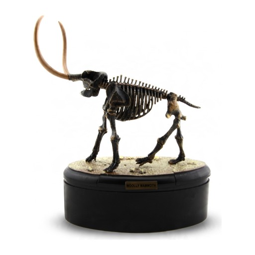 Modèle de squelette de mammouth à assembler sur socle rond Longueur 14 cm Hauteur 17 cm Kit de construction en plastique fossile Décoration