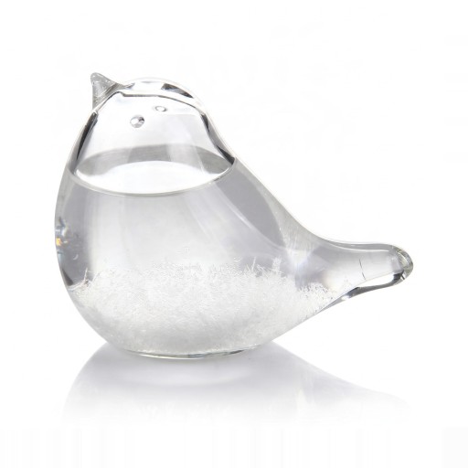 Γυάλινο μπουρίνι Storm Glass σε σχήμα πουλιού 8 x 5 x 4 εκ. Γυάλινος βαρόμετρος με κρυστάλλους Διαφανής Προβλέπτης καιρού Διακόσμηση για το τραπέζι
