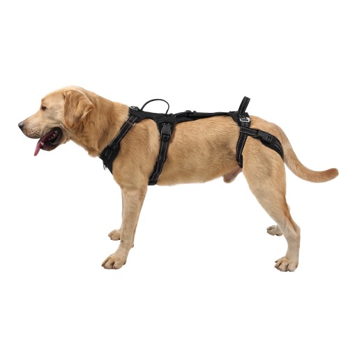 Støtteharness til hunde med to håndtag til løft og transport Størrelse XL Hals 59,2-73,6 cm Bryst 76,7-96 cm Refleksionselementer Sort