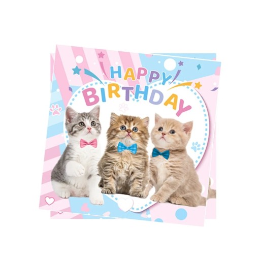 20 ks Papírové ubrousky Koťátka Happy Birthday Narozeninové ubrousky s motivem koček Jednorázové ubrousky pro dětskou oslavu
