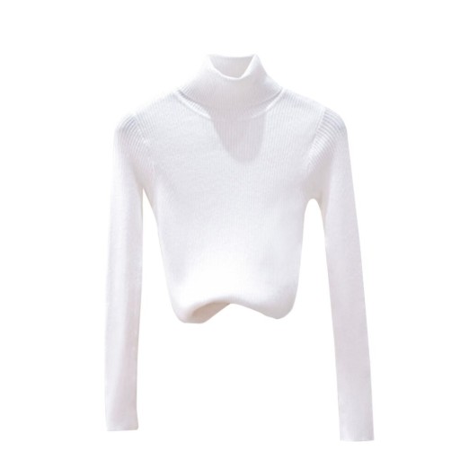 Turtleneck G278 dam