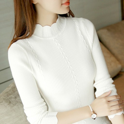 Turtleneck G284 dam