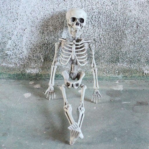 Dekorativt skelett