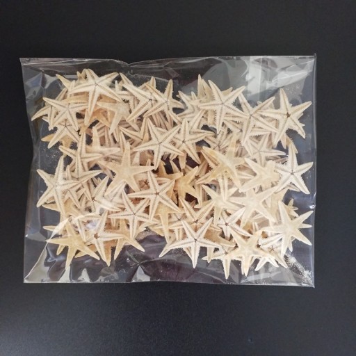 Dekorativ mini sjöstjärna 100 st