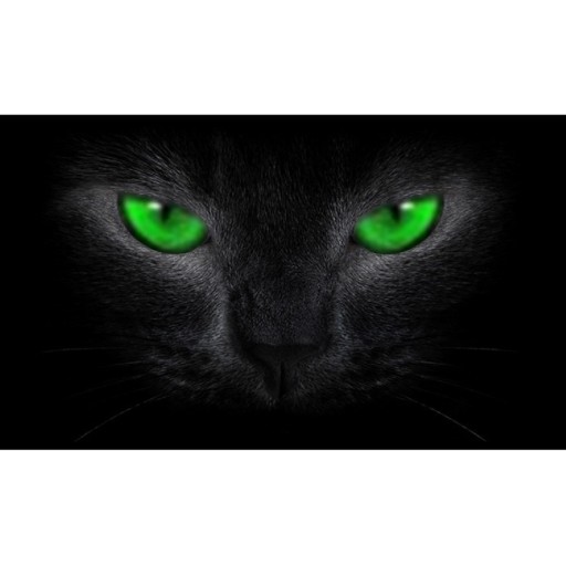 3D Car Rear Window Sticker