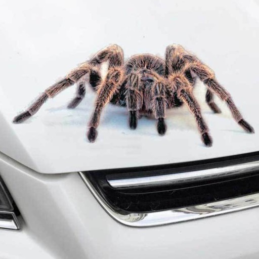 3D-eläinautotarra