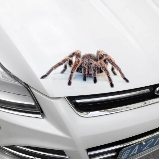 3D-eläinautotarra