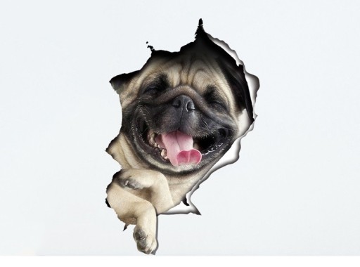 3D waterdichte badkamersticker - Hond en kat