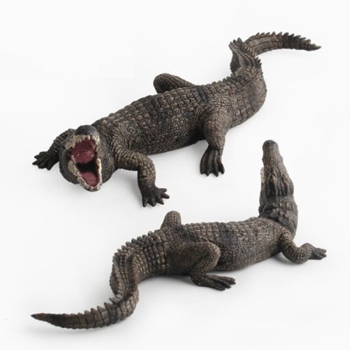 Alligator statyett