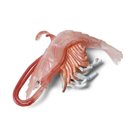 Kräftdjursfigur