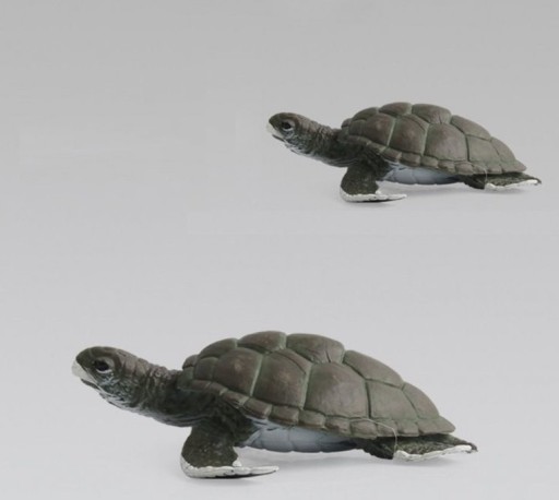 Sköldpaddsfigur