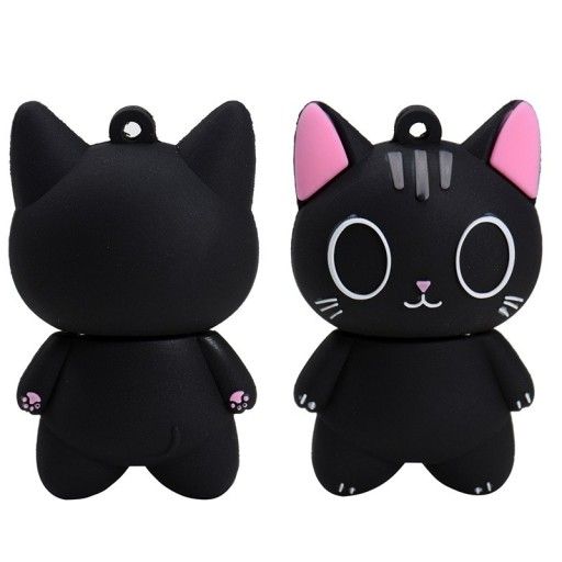 Black cat flash-enhet