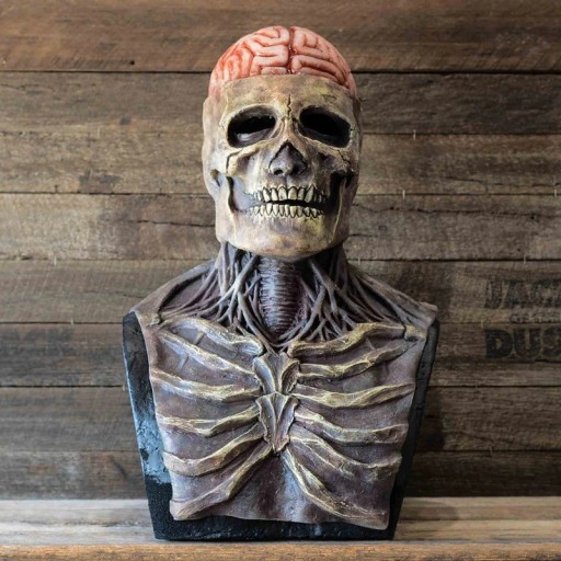 Halloween skelettmask