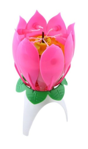 Musikalisk lotus