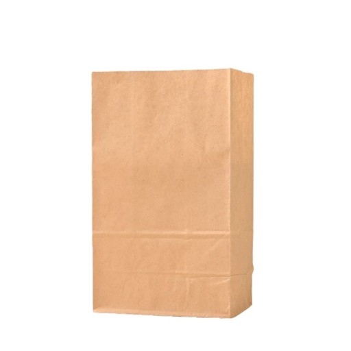50 Pack Brown Kraft Paper Bags 13 x 24 x 8 cm Eco-Friendly Food Packaging for Vegetables Sweets Reusable Bags