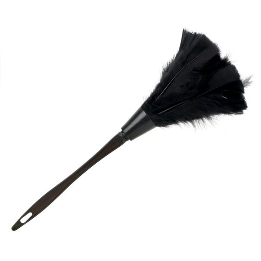 Skyddsomslag T1905