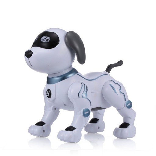 RC hund