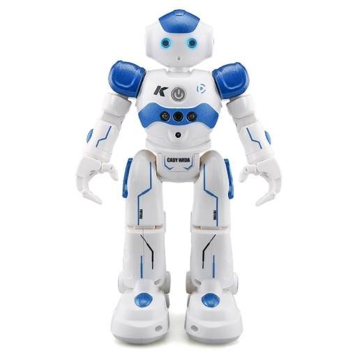 RC robot