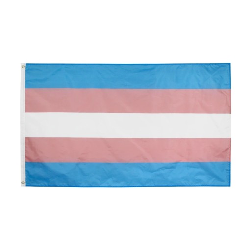 Transgenderflagga 60 x 90 cm