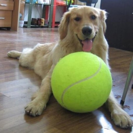 Stor tennisboll för hundar