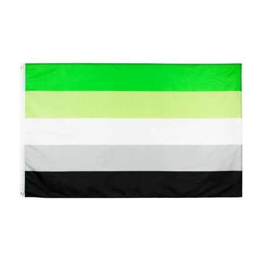 Aromantisk flagga 90 x 150 cm