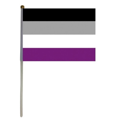 Asexuell Pride Flagga 14 x 21 cm