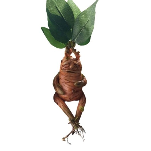 Mandrake trädgård dekoration