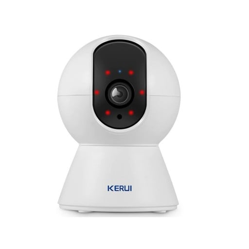 Inomhus IP-kamera P3231