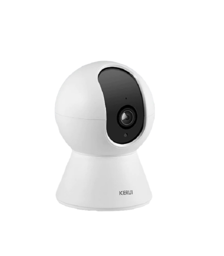 Inomhus IP-kamera P3233