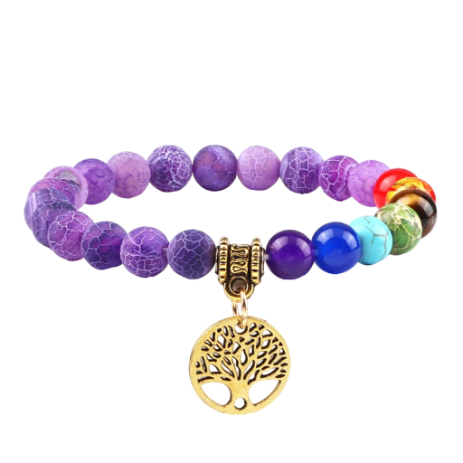 Sju Chakra Armband Z258