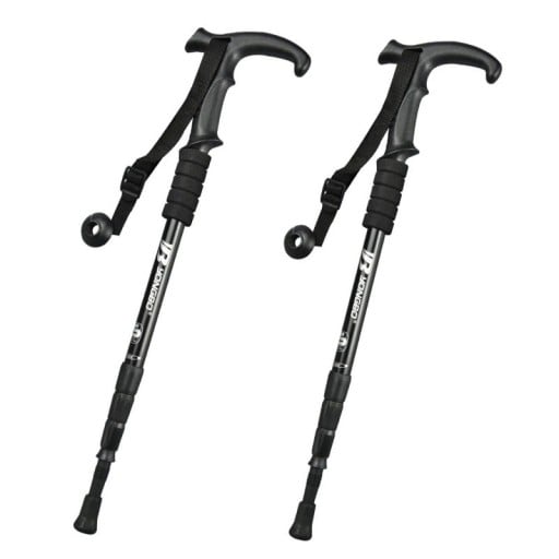 Teleskopisk vandringsstav 50 - 110 cm 2 st
