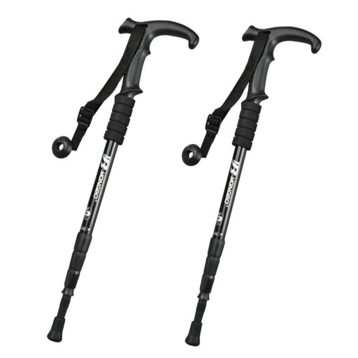 Teleskopisk vandringsstav 65 - 135 cm 2 st