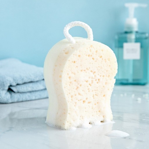 A810 Cleaning Sponge