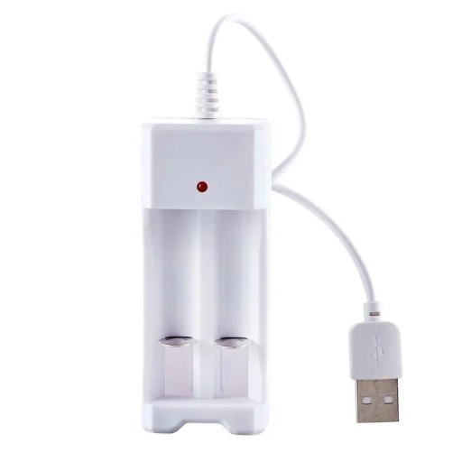 AA AAA Batterioplader 2 Slots AC 110V 220V til Ni-MH Ni-CD-celler 1.2V Genopladelig Adapter Hjemmeopladning Bærbar Kompakt Design