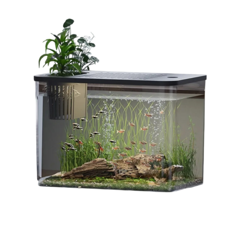 Acquario con coperchio per la coltivazione di piante acquatiche 31,6 x 18 x 22,5 cm Acquario da tavolo decorativo Design moderno per interni Allevamento di pesci