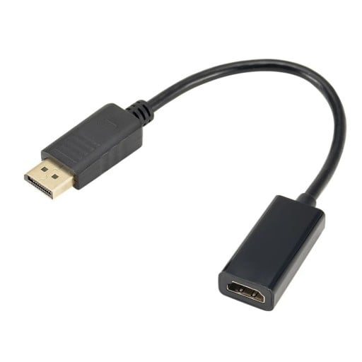 Adaptateur DisplayPort vers HDMI 1080p 25 cm Adaptateur DP vers HDMI Câble Connexion Ordinateur Portable PC Moniteur TV Plug & Play Transfert d'image