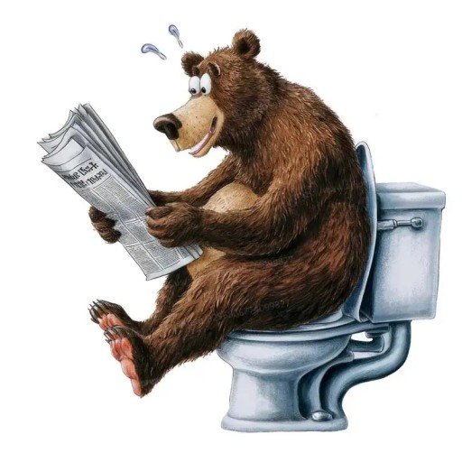 Adesivo divertente per toilette con motivo orso 25 cm decorazione in PVC impermeabile per WC aspetto originale e facile applicazione