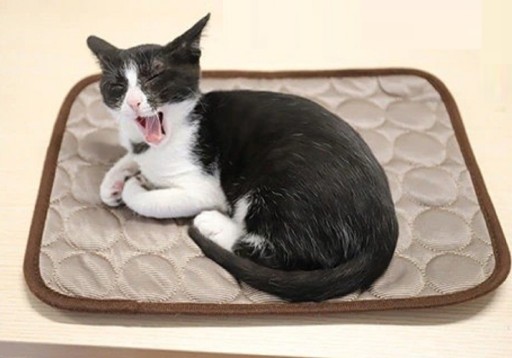 Almofada refrigerante para cães e gatos 150 x 100 cm