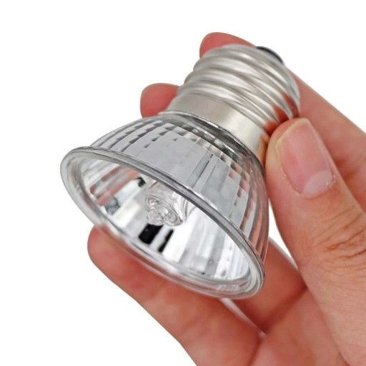 Ampoule UVA chauffante pour terrarium