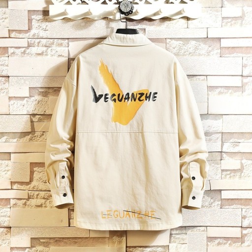 Ανδρικό πουκάμισο F730