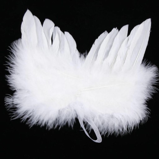 Angel Wings Decoration