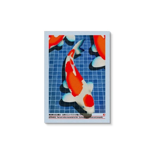 Αφίσα ιαπωνικής koi ψαριού Kōhaku 40x60 εκ. Κόκκινος και λευκός καπρός ως σύμβολο τύχης και ευημερίας Σύγχρονη εκτύπωση τοίχου σε καμβά Χωρίς κορνίζα