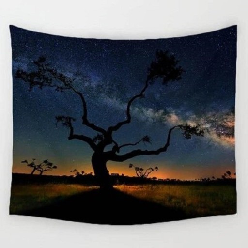 Arazzo da parete C506